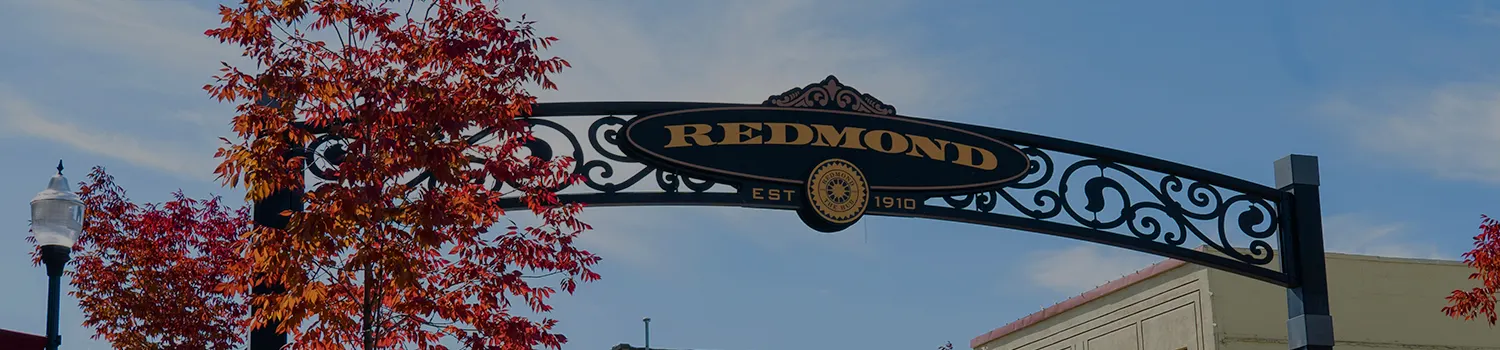 bannerone